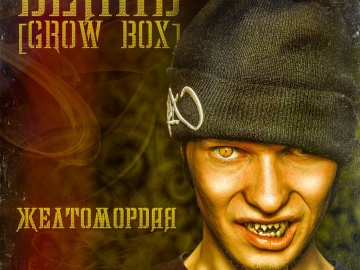 Demid - Желтомордая